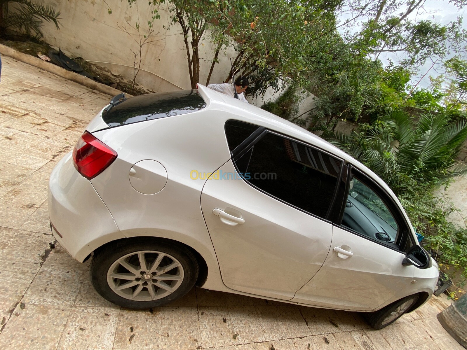 Seat Ibiza 2014 Crono