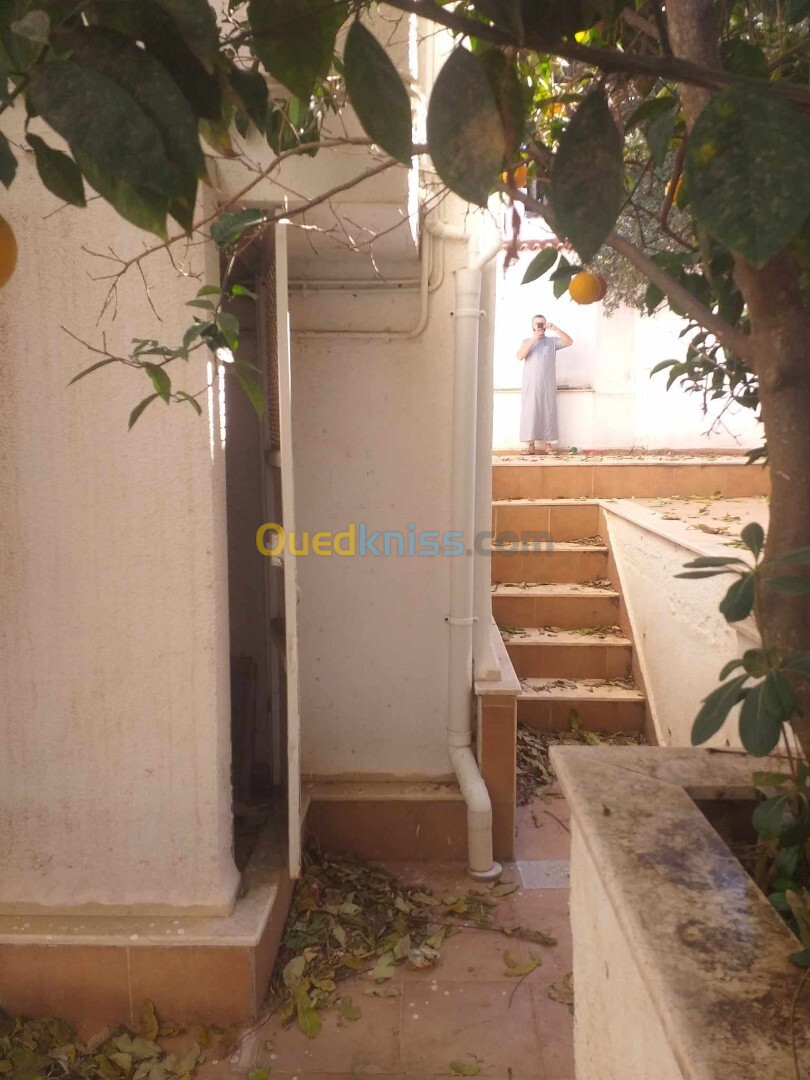 Vente Villa Alger El mouradia