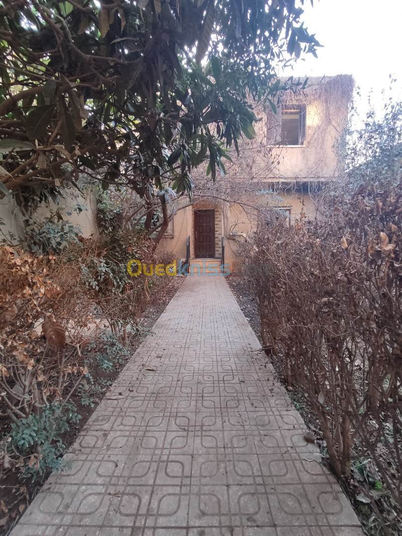 Vente Villa Boumerdes Hammedi