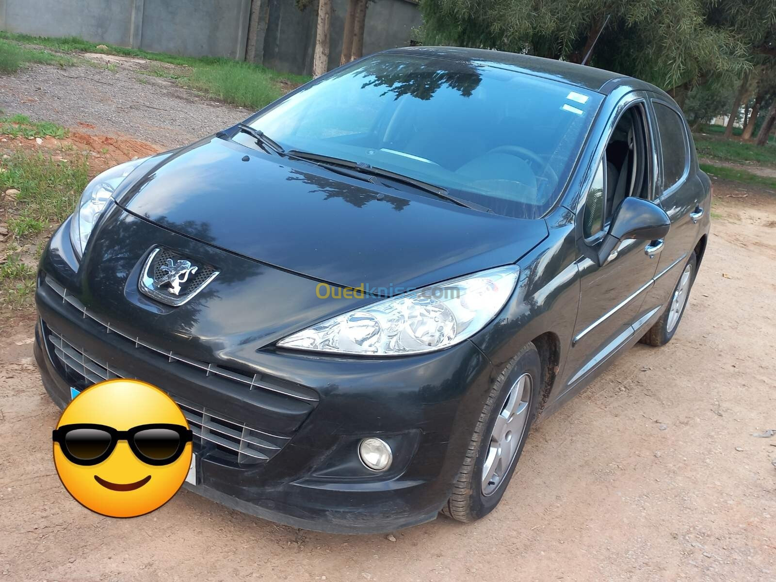 Peugeot 207 2012 207