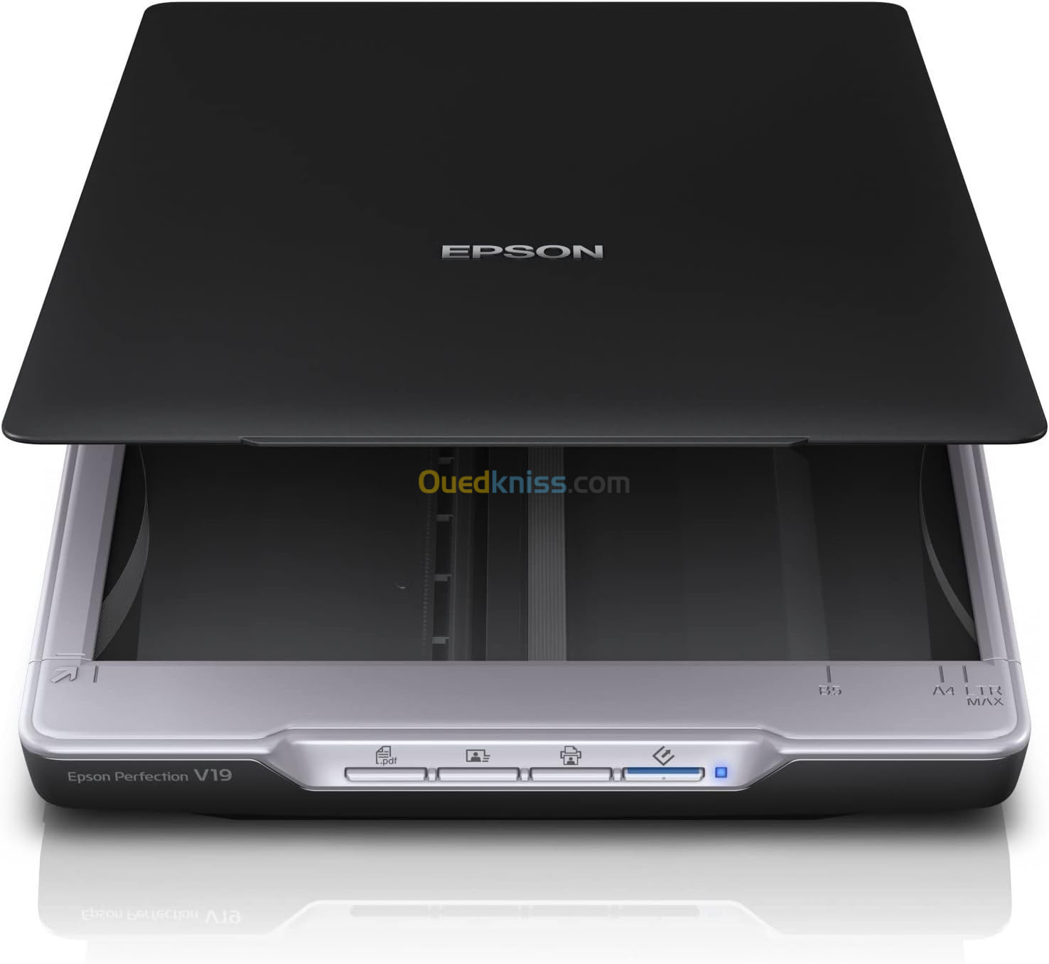 Scanner Epson Perfection V19