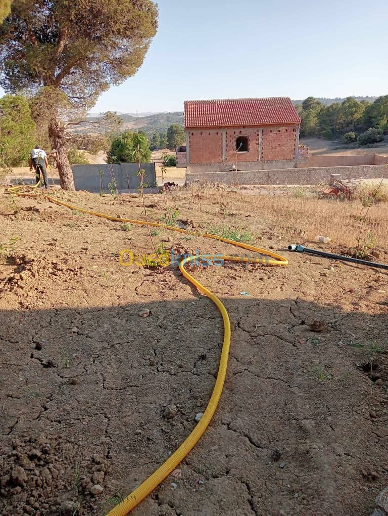 Vente Terrain Agricole Médéa Zoubiria