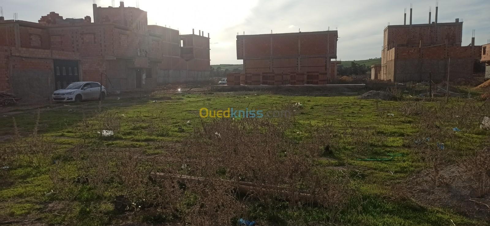 Vente Terrain Mostaganem Hassi maameche