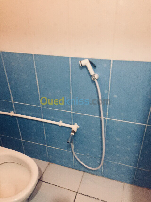 Location Appartement F3 Blida Bouinan