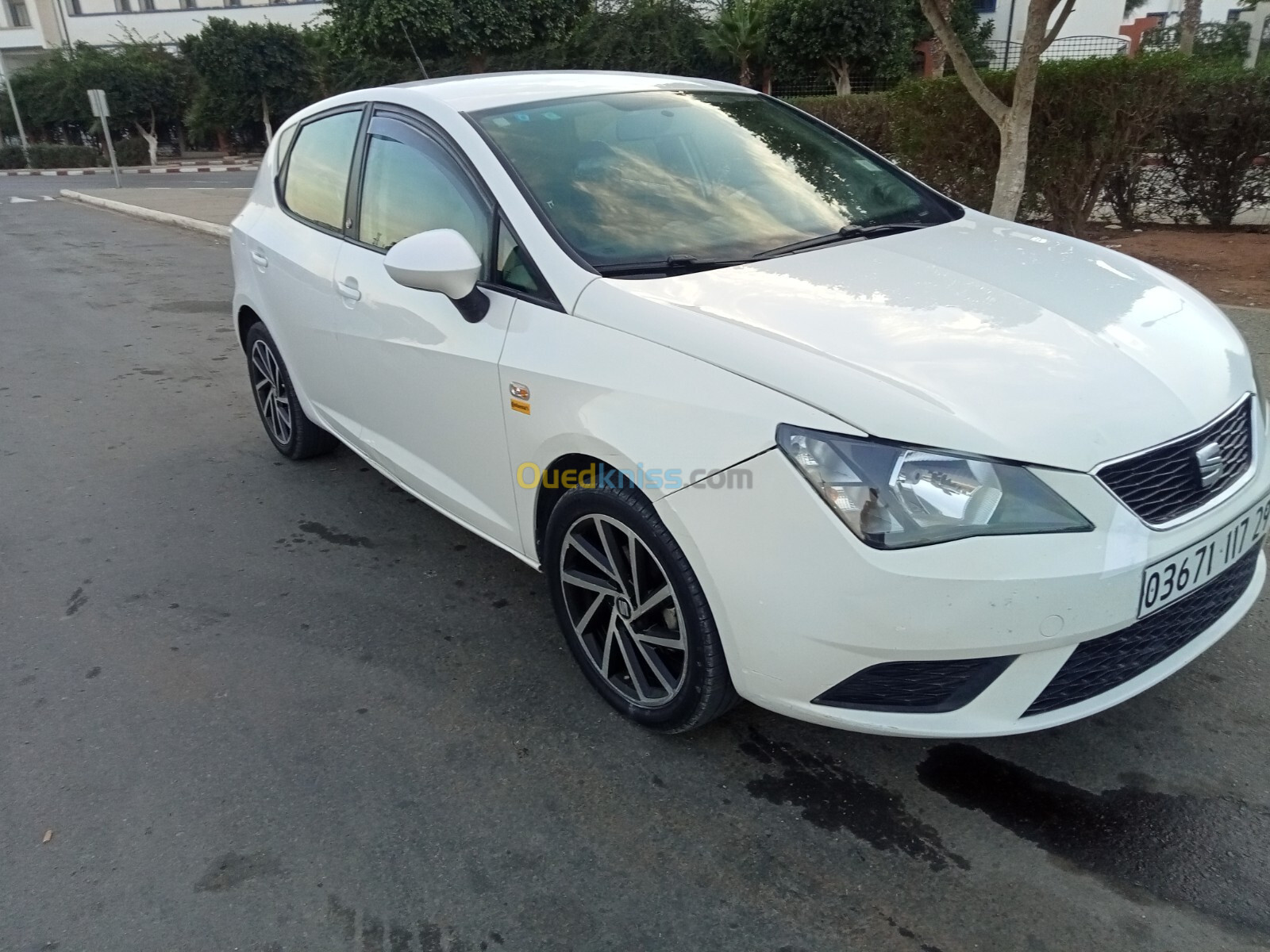 Seat Ibiza 2017 Sol