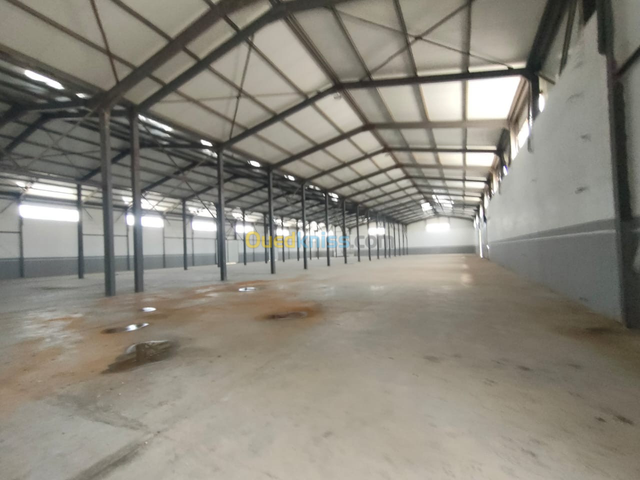 Location Hangar Oran Hassi ben okba