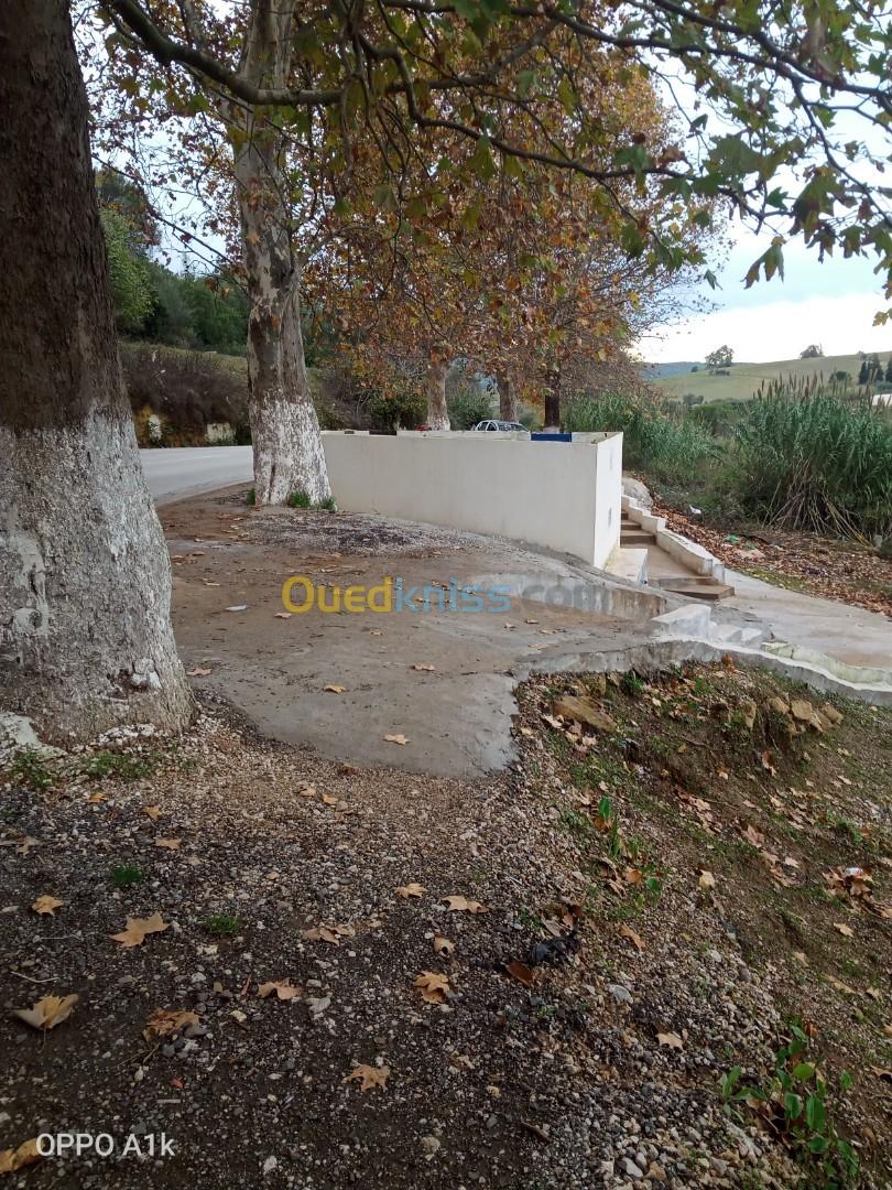 Vente Terrain Tipaza Nador