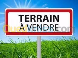 Vente Terrain Blida Blida