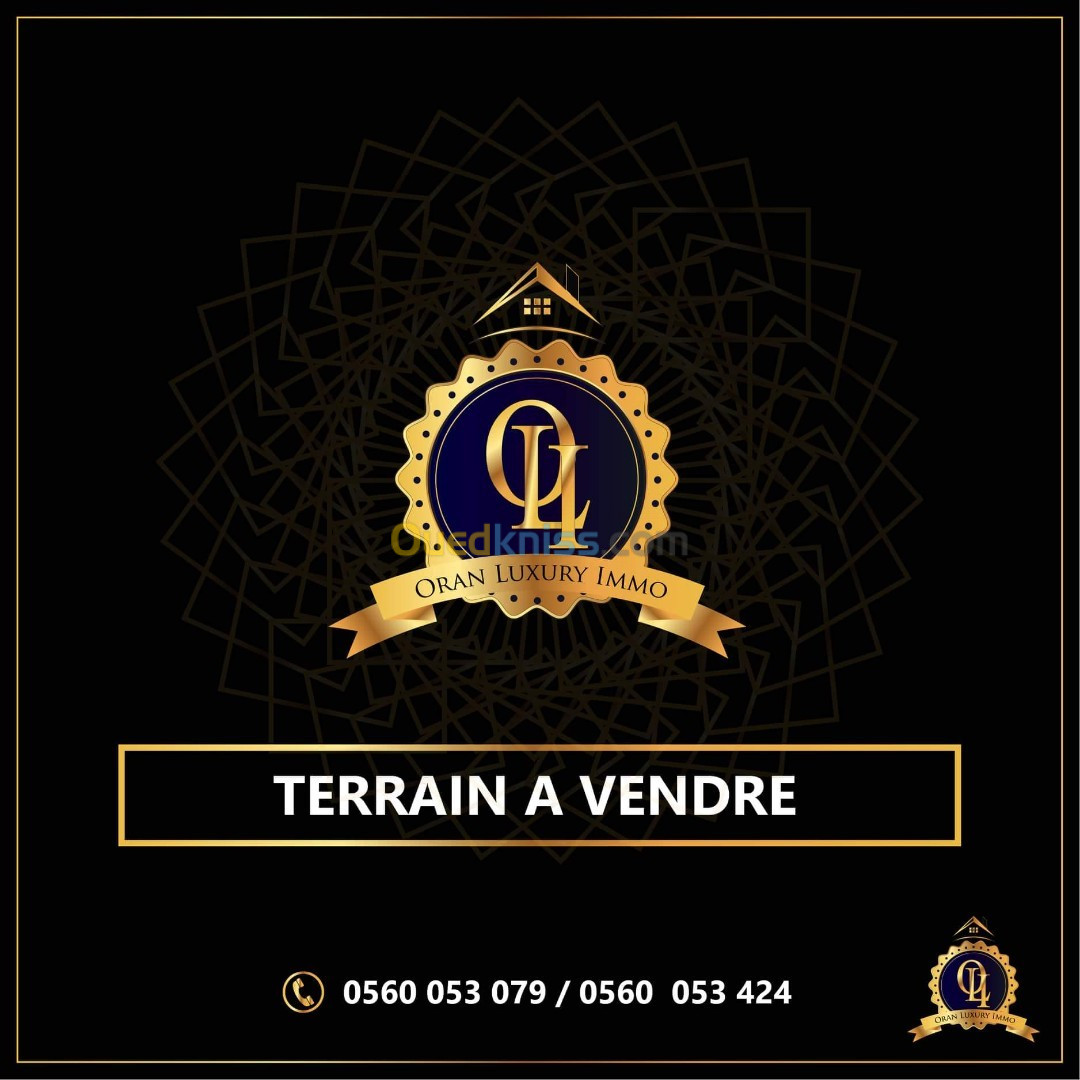 Vente Terrain Oran Hassi bounif