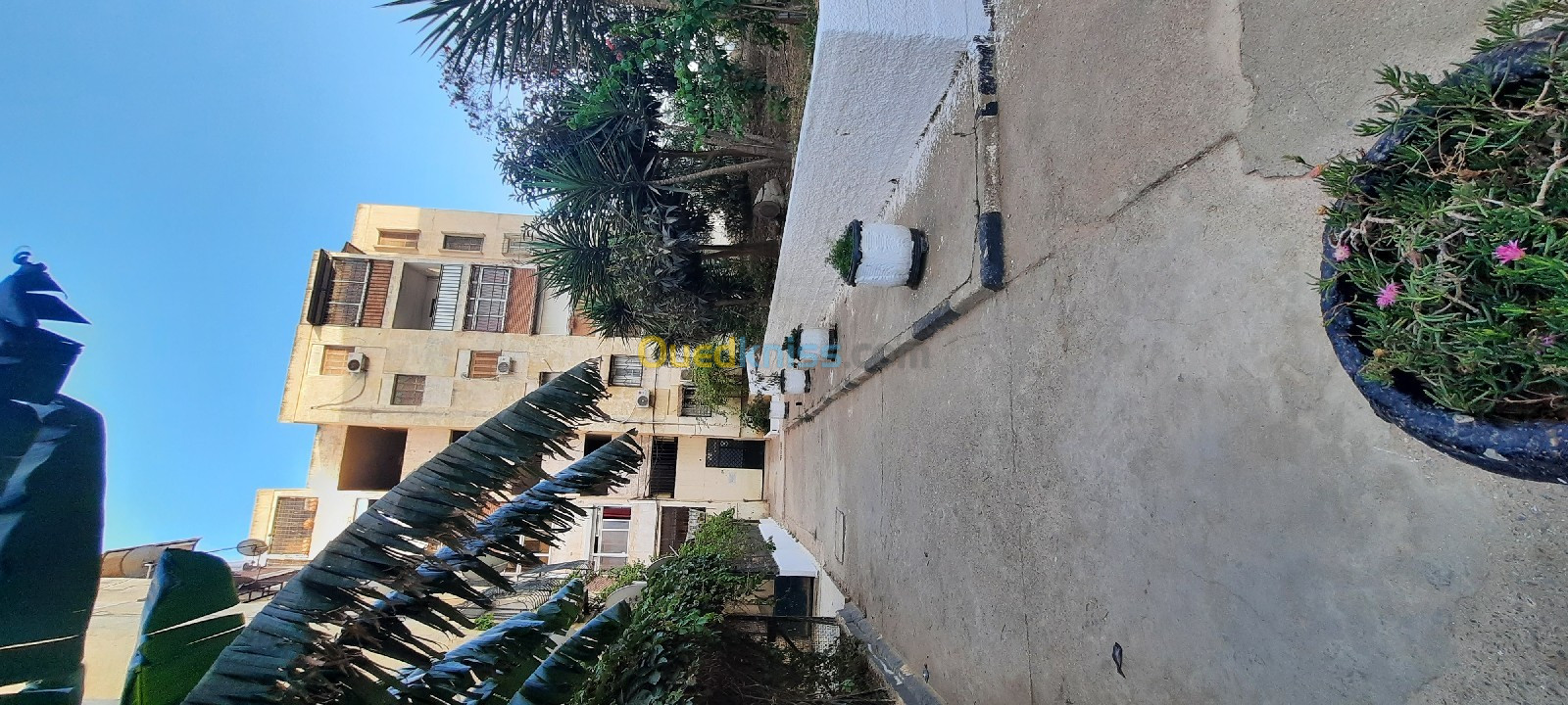 Location Appartement F4 Alger Ain naadja