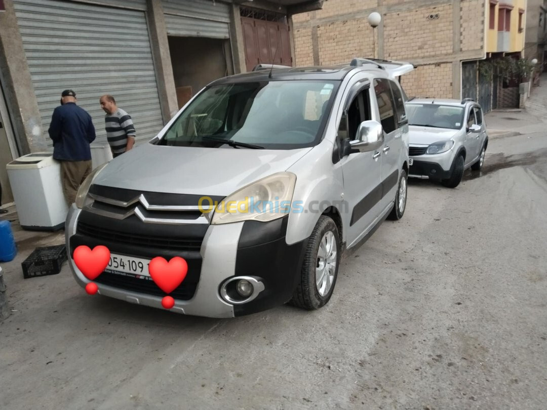 Citroen Berlingo 2009 XTR