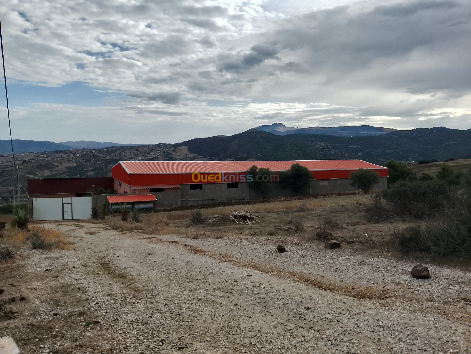 Vente Hangar Boumerdès Khemis el khechna