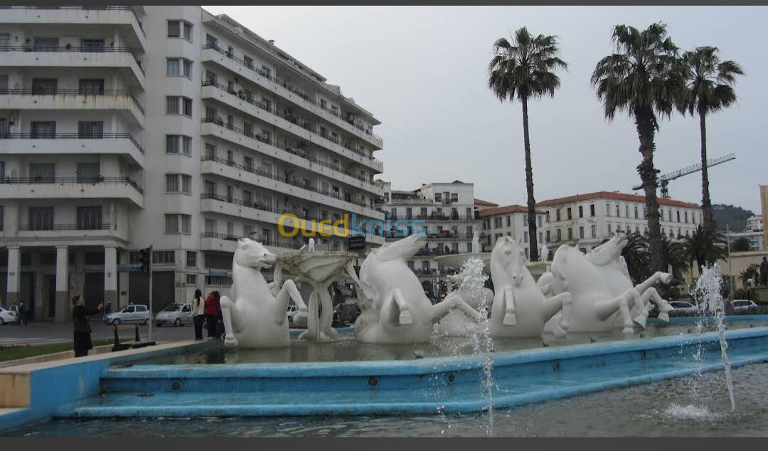 Avocate à alger