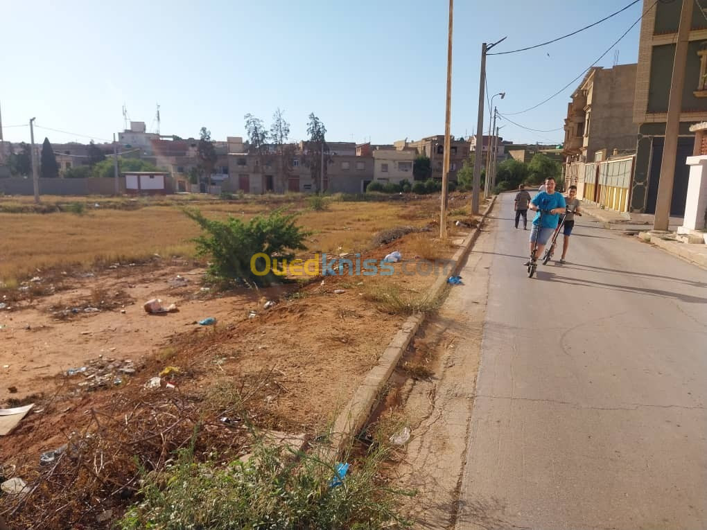 Vente Terrain Mostaganem Mostaganem