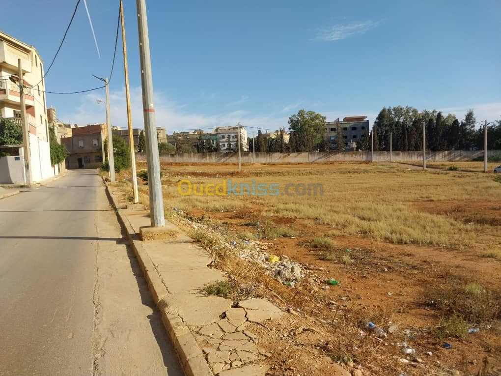 Vente Terrain Mostaganem Mostaganem