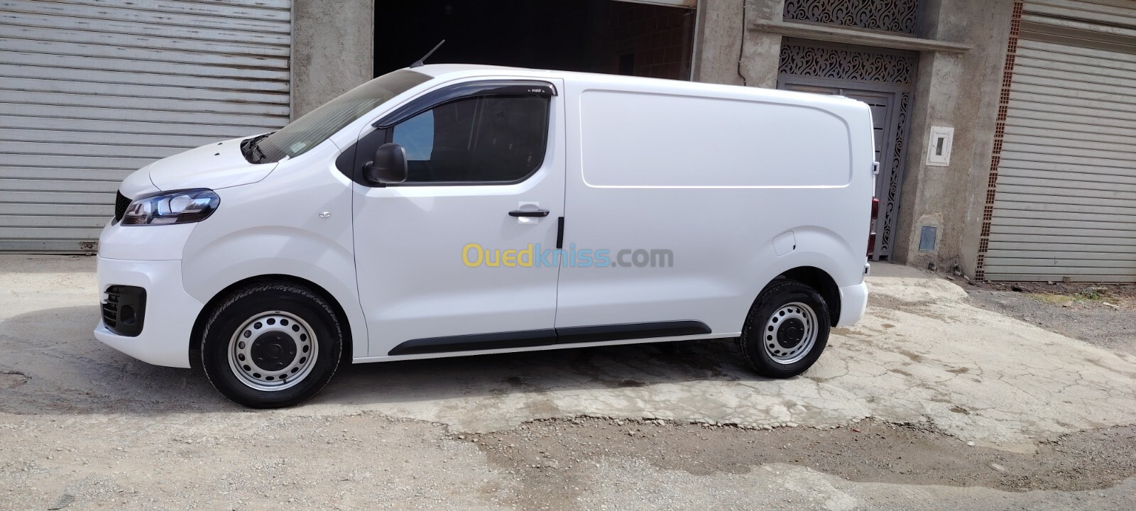 Fiat scudo 2024 scudo