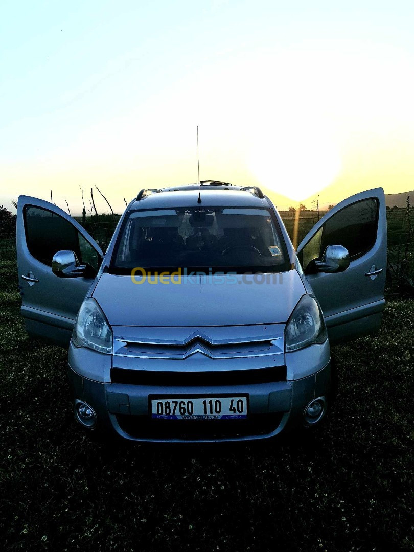 Citroen Berlingo 2010 Berlingo