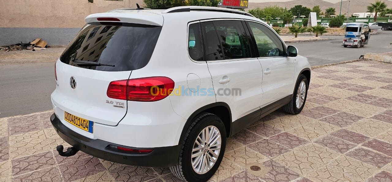 Volkswagen Tiguan 2014 Cup