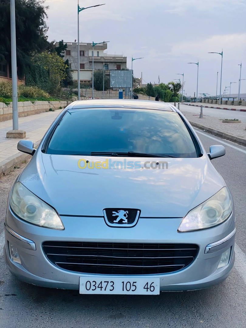 Peugeot 407 2005 407