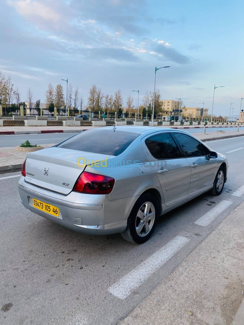 Peugeot 407 2005 407