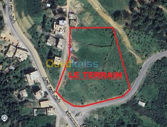 Vente Terrain Jijel Jijel