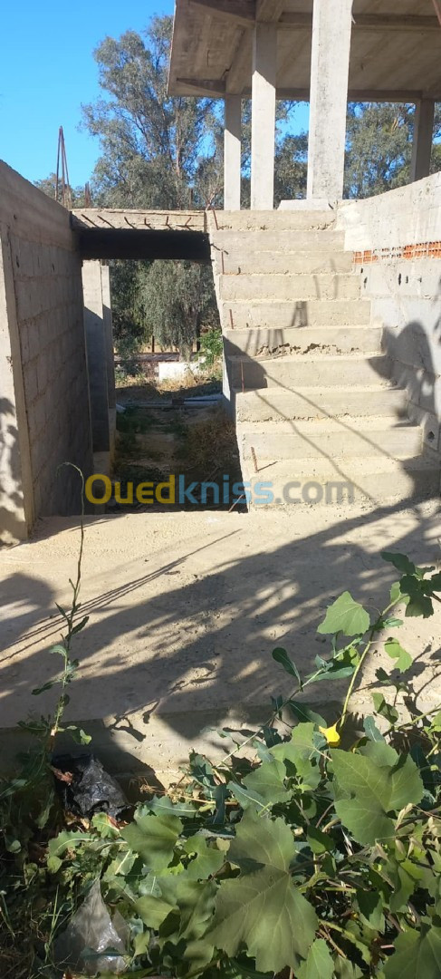 Vente Villa Skikda Ramdane djamel