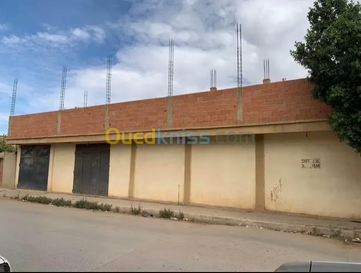 Vente Niveau De Villa F05 Chlef Chlef