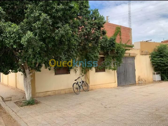 Vente Niveau De Villa F05 Chlef Chlef