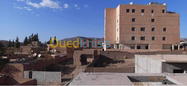 Vente Terrain Tlemcen Sebdou