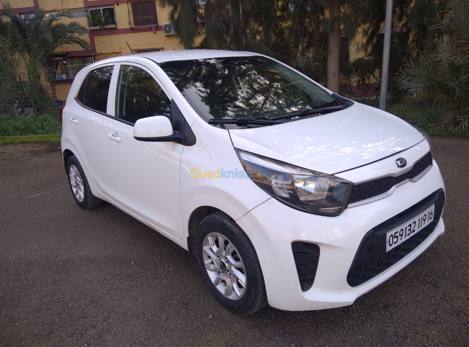 Kia Picanto 2019 Start plus