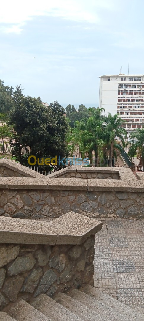 Vente Appartement F4 Alger Alger centre