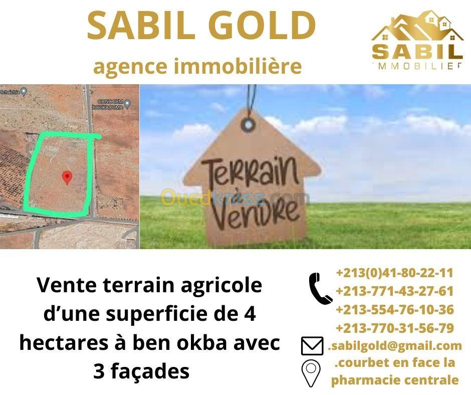 Vente Terrain Oran Hassi ben okba