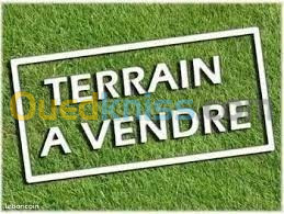 Vente Terrain Oran Oran