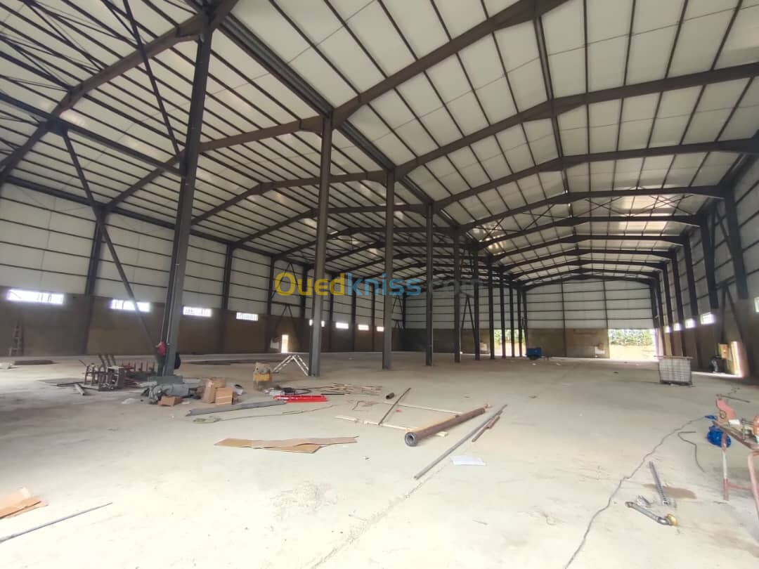 Location Hangar Oran Hassi bounif