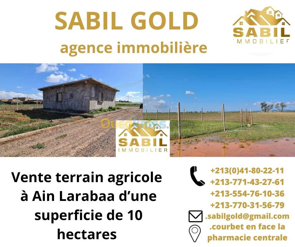 Vente Terrain Oran Oran