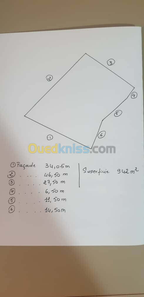 Vente Terrain Oran Oran