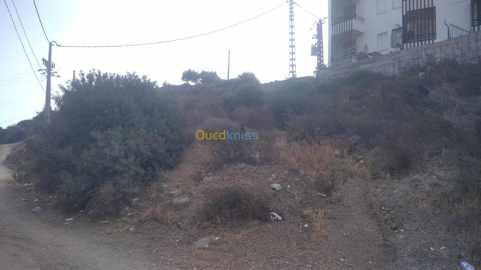 Vente Terrain Tizi ouzou Azeffoun