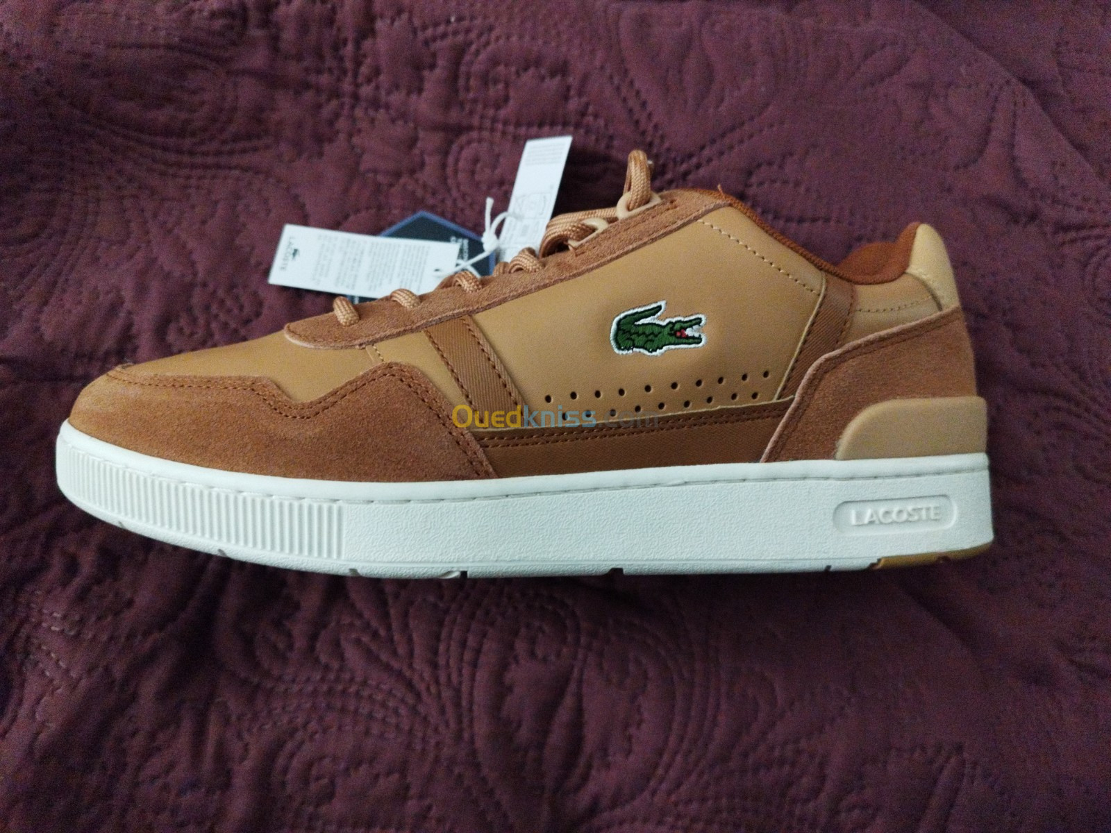 Ouedkniss clearance chaussure lacoste