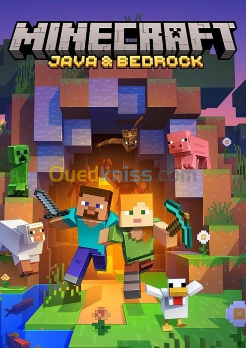 Minecraft Java & Bedrock Edition CODE DIGITAL