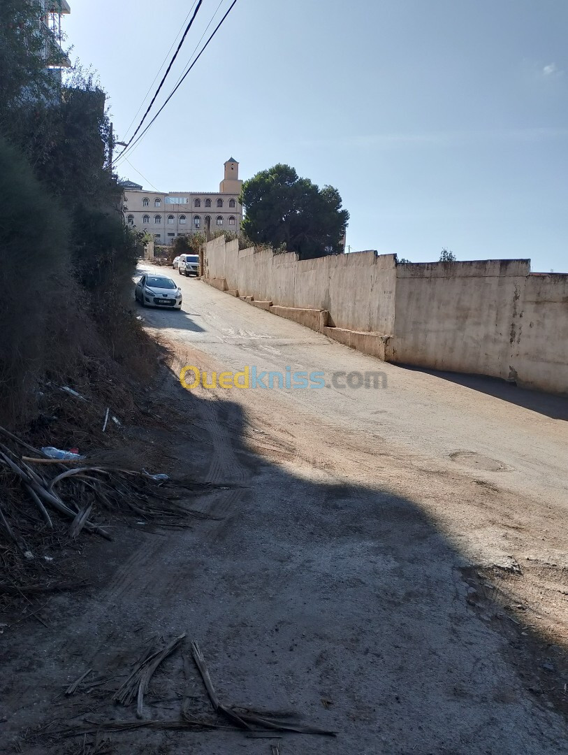 Vente Terrain Alger Cheraga