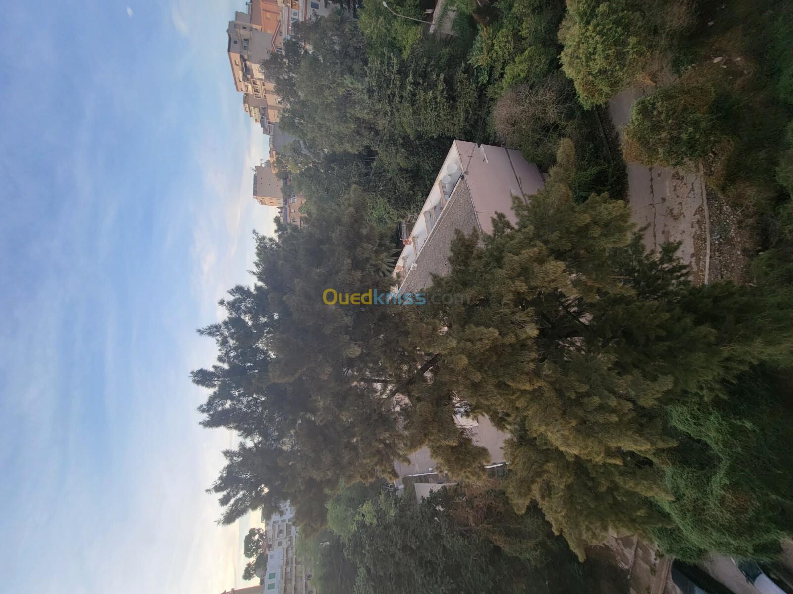 Location Appartement F4 Alger Hydra