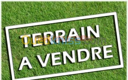 Vente Terrain Alger Douera