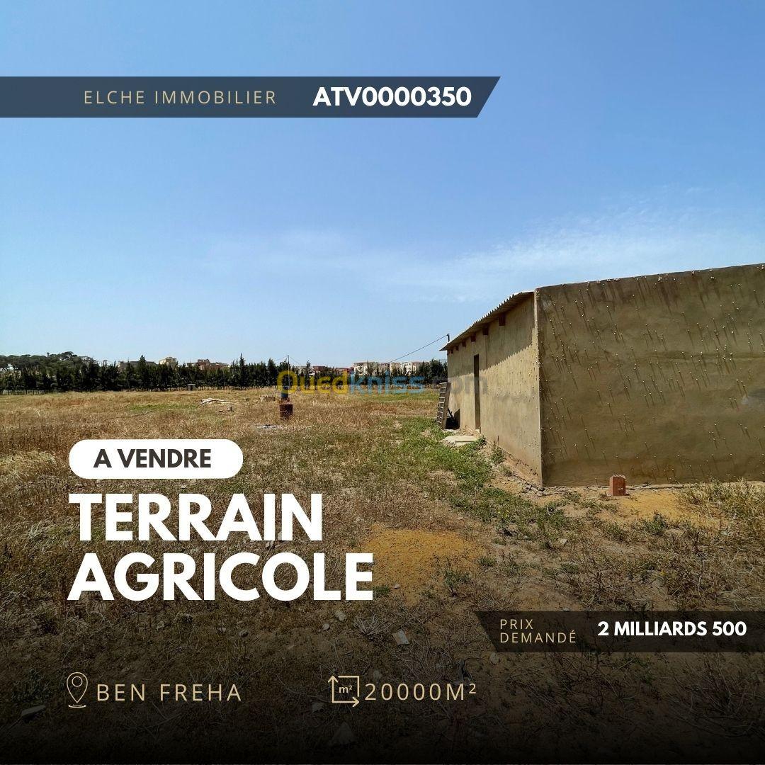 Vente Terrain Agricole Oran Ben freha