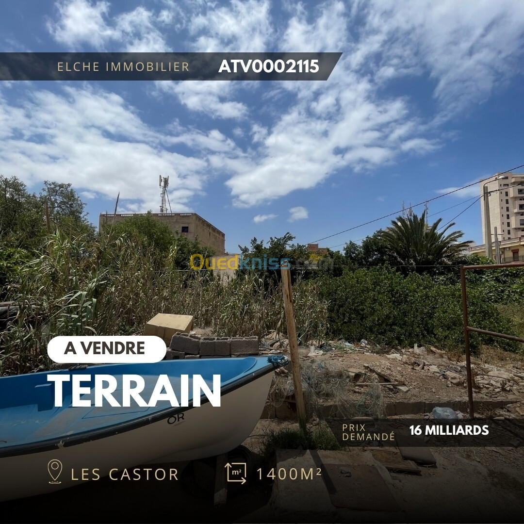 Vente Terrain Oran Oran