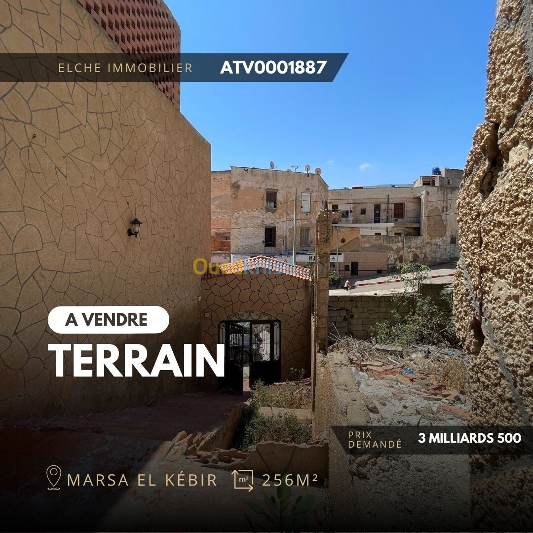 Vente Terrain Oran Ain el turck