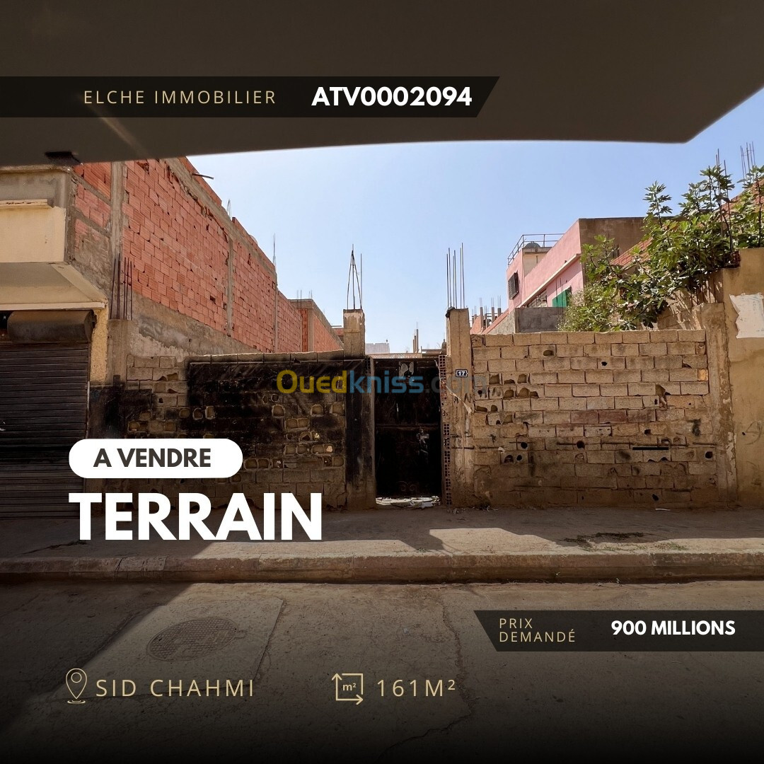 Vente Terrain Oran Bir el djir