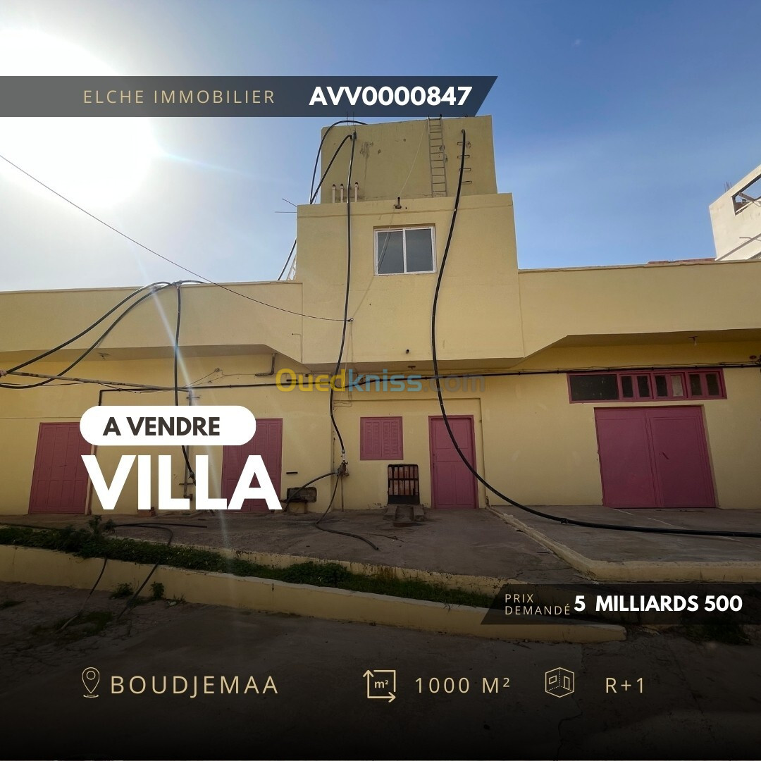 Vente Villa Oran Hassi bounif