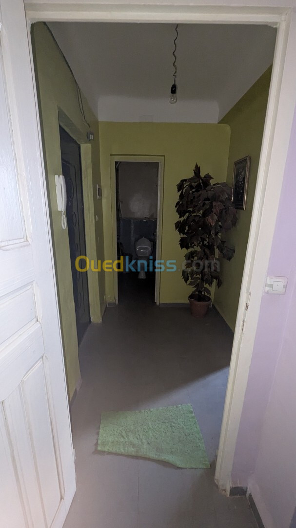 Location Appartement F2 Oran Bir el djir