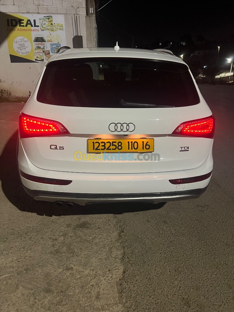 Audi Q5 2010 Off Road Pack Tech