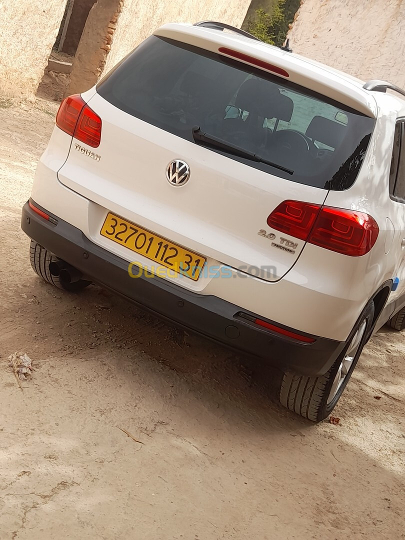 Volkswagen Tiguan 2012 Cup